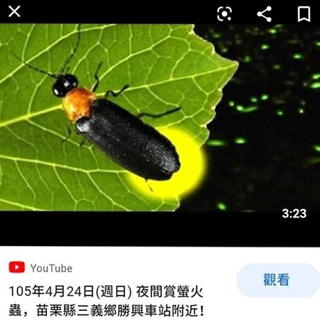 Miaoli Sanyi Bo Wu Guan Homestay מראה חיצוני תמונה